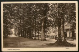 Netherlands 1930 Doorn Behind The Shelter View Picture Post Card # 139 - Doorn