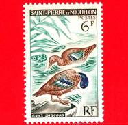 Nuovo - MNH - Saint-Pierre E Miquelon - 1963 - Uccelli - Birds - Anatre - Marzaiola Americana - Anas Discors - 6 - Unused Stamps