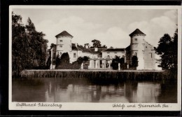 Rheinsberg - S/w Schloß Und Grienericksee - Rheinsberg