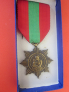 France Médaille D'honneur Du Travail Ministère Santé Publique & Population République Française La Patrie Reconnaissante - Francia