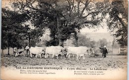 FOLKLORE -- La Gascogne Historique - Types Gascons - La Laboureur - Otros & Sin Clasificación