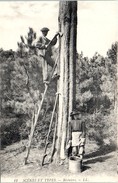 FOLKLORE  -- Les LANDES -- Scènes Et Types - Résinier - Otros & Sin Clasificación