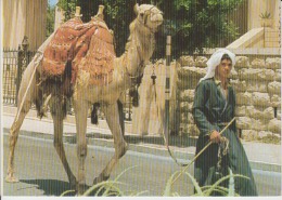 Islam Jerusalem Old City Street Scene Muslim Boy With His Camel In Typical Dresses - Unused - Asia