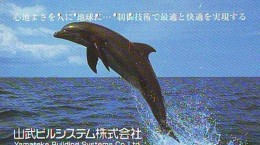 Télécarte Japon * DAUPHIN * DOLPHIN (819) Japan () Phonecard * DELPHIN * GOLFINO * DOLFIJN * - Dauphins