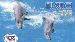Télécarte Japon * DAUPHIN * DOLPHIN (842) Japan () Phonecard * DELPHIN * GOLFINO * DOLFIJN * - Dolphins