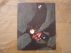 1964 Brochure Catalogue BIJOUX MONTRE Dejouy Dijon Illustre Par Henri Bosco - Other & Unclassified