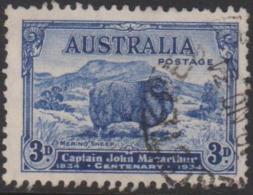 AUSTRALIA - USED 1934 3d Merino Sheep - Oblitérés