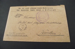 232. Letter Dobricaa(Banat)-Wersetz(Vrsac) 1898. - Prefilatelia
