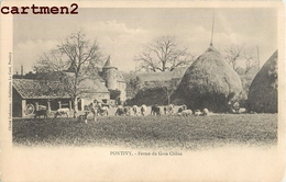 PONTIVY FERME DU GROS CHENE  56 - Pontivy