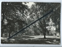 CPM - Nogent Sur Oise  - Le Parc De L'Hôtel De Ville - Nogent Sur Oise