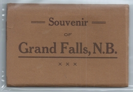 GRAND FALLS, N.B. CANADA. C. 1920 POSTCARD FOLDER - 10 POSTCARDS #553. - Grand Falls