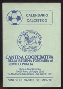 CALENDARIO CALCIO 1990-91 DA SERIE A  ALLA C2  24 PAGINE INTERNE( Cm12,3 X 8,5) PUBBLICITA VINI RUVO DI PUGLIA (STAMP48) - Deportes