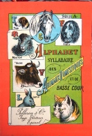 ALPHABET SYLLABAIRE DES ANIMAUX DOMESTIQUES Et De BASSE COUR. Série A. Images épinal - Animales