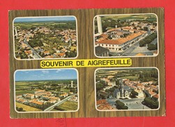 17 Charente Maritime Aigrefeuille Carte Multivues  Format10,5x15 - Julienas