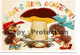 C11 RICCIO FUNGO CHAMPIGNON MUSHROOM PILZ HEDGEHOG HERISSON  IGEL RICCIO ERIZO 1990 - Dressed Animals