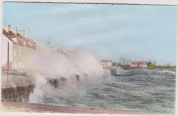 Manche :  ST  VAAST La  HOUGUE : Route  De  Réville  Un Jour  De  Tempête - Saint Vaast La Hougue