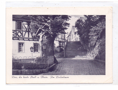 5460 LINZ, Am Lindenbaum, 1944 !!! - Linz A. Rhein