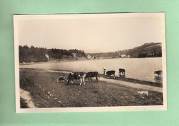 CPSM Photo..22..JUGON : Vue Générale Et L' Etang..n°3290..Scan C : Voir 2 Scans - Jugon-les-Lacs