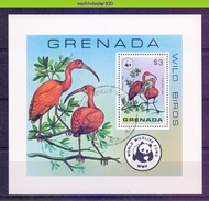 NaaF19g WWF FAUNA VOGELS IBIS BIRDS VÖGEL AVES OISEAUX GRENADA 1977 Gebr/used - Gebraucht