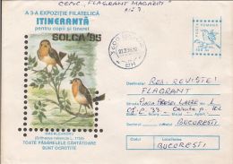 BIRDS, EUROPEAN ROBIN, COVER STATIONERY, ENTIER POSTAL, 1996, ROMANIA - Sparrows