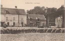 LE HAUT-BUC   - 78  -   La Ferme - Buc