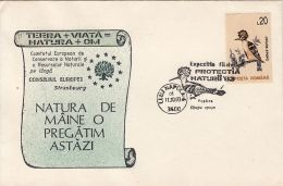 61763- HOOPOE, BIRDS, SPECIAL COVER, 1993, ROMANIA - Spechten En Klimvogels