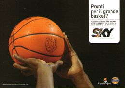 B 892 - Sport, Basket - Basket-ball