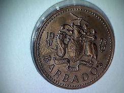 Barbados 1 Cent 1973 - Barbados (Barbuda)