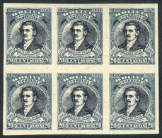 Yvert 89, 1910 Arze 20c., IMPERFORATE Block Of 6, 2 Stamps With Watermark, VF Quality! - Bolivia