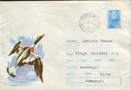 Romania - Postal Stationery Cover Used 1972 - Birds - Wild Goose - Geese