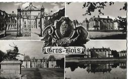 GROS BOIS - Multivues Avec Blason - Chateau De Grosbois