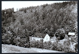 A4989 - Alte Foto Ansichtskarte - Wolkenstein - Ferienhaus Waldmühle Mühle - Mehlig TOP - Wolkenstein