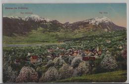 Steinen Im Frühling - Rigi-Scheidegg, Rigi-Kulm - Steinen