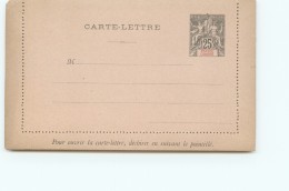 Entier Carte Lettre Groupe 25 Cent Brun Neuve - Lettres & Documents