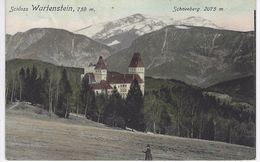 CPA  AUTRICHE - Schloss WARTENSTEIN - SCHNEEBERG - Schneeberggebiet