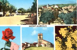 N°53833 GF-cpsm Montauroux -multivues- - Montauroux