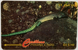 Saint Lucia Cable And Wireless EC$10  201CSLA "  Whip Tail Lizard " - Sainte Lucie