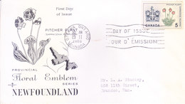 CANADA FIRST DAY COVER ISSUED FROM OTTAWA 23-02-1966 - PROVINCIAL FLORAL EMBLEM SERIES, NEW FOUNDLAND, PITCHER PLANT - Lettres & Documents
