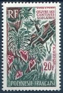 Y&T  N° 35 ** - Unused Stamps