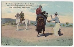 Cowboys Breaking A Western Range Horse - Bronco Busting C1910s Vintage Postcard - Autres & Non Classés