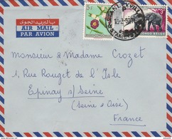 Congo Belge Lettre  STANLEYVILLE 13/2/1960 Pour Epinay  - Fleurs éléphants Animaux - Briefe U. Dokumente