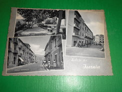 Cartolina Saluti Da Isernia - Vedute Diverse 1950 Ca - Isernia