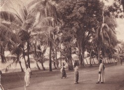 AFRIQUE ,,,,GUINEE FRANCAISE,,,,,CONAKRY ,,,,,LA CORNICHE,,,,VOYAGE 1950,,,, - Guinée Française