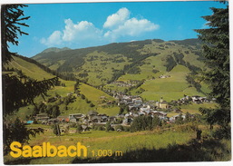 Saalbach Mit Wandergebiet Kohlmais  - Salzburgerland - Saalbach