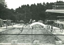 N°54219 GF-cpsm Bagnoles De L'Orne -la Piscine Municipale- - Swimming