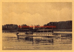 Pleziertochtjes Op De Schelde Met Stoomboot Wilford - Temse - Temse