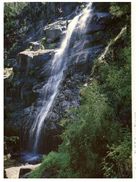 (PF 213) Australia - VIC - Corryong Waterfall - Grampians