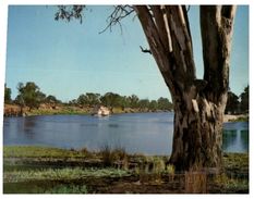 (60) Australia - VIC - Mildura River Murray - Mildura