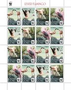 Sierra Leone. 2017 WWF - Lesser Flamingo. (520d) Sheet Of 4 Sets - Flamants