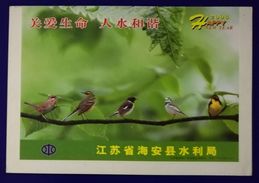 Passerine Birds,China 2006 Hai'an Water Resources Bureau Care Life For Harmonious Human & Water Advertising PSL - Moineaux